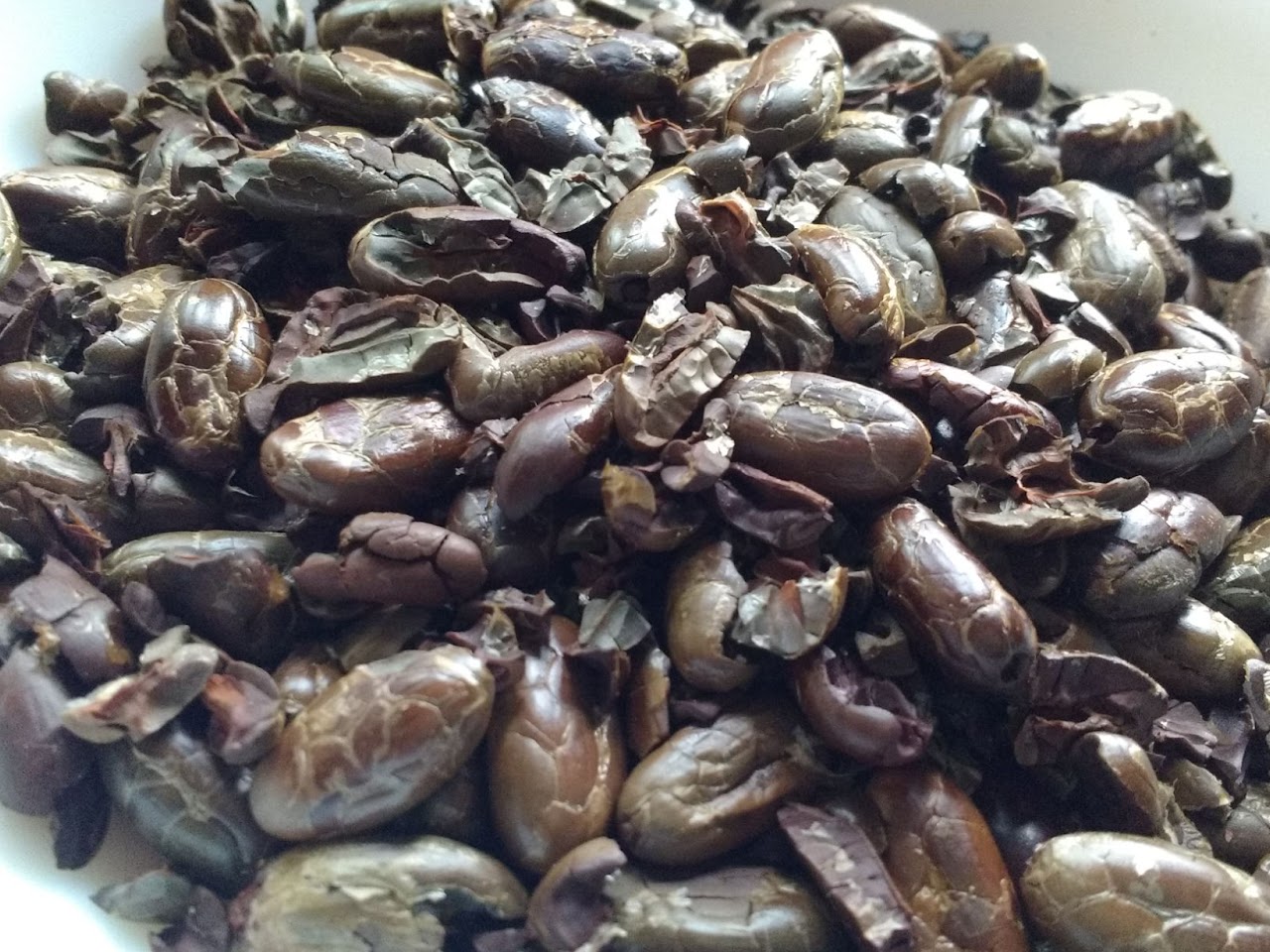 Coco Beans